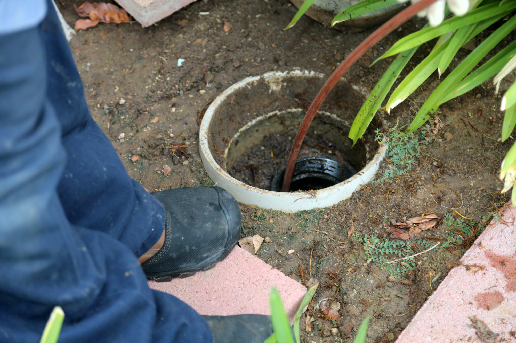 Person stands next to an open outdoor drain pipe with a hose inserted, surrounded by soil, leaves, and paving stones.